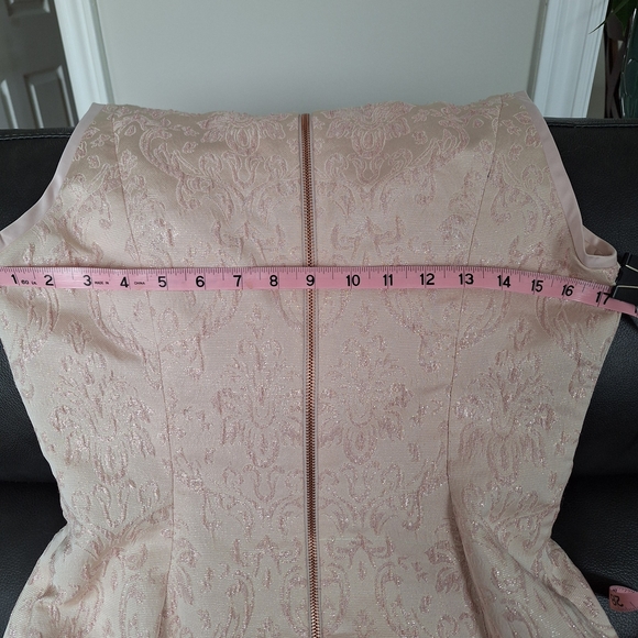 Ted Baker Blush Lace Fit & Flare Dress - Picture 9 of 12